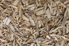 biomass boilers Raw