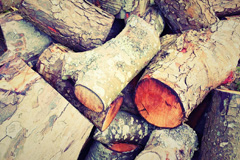 Raw wood burning boiler costs